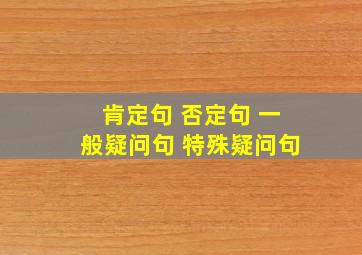 肯定句 否定句 一般疑问句 特殊疑问句